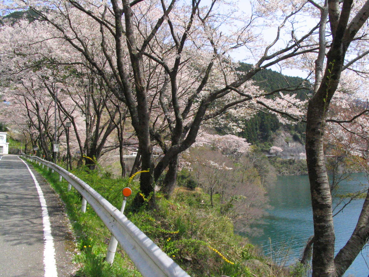 有田川・二川湖畔