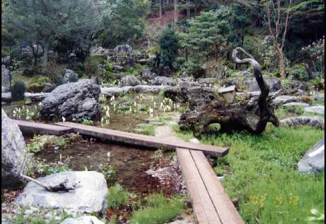 波瀬植物園