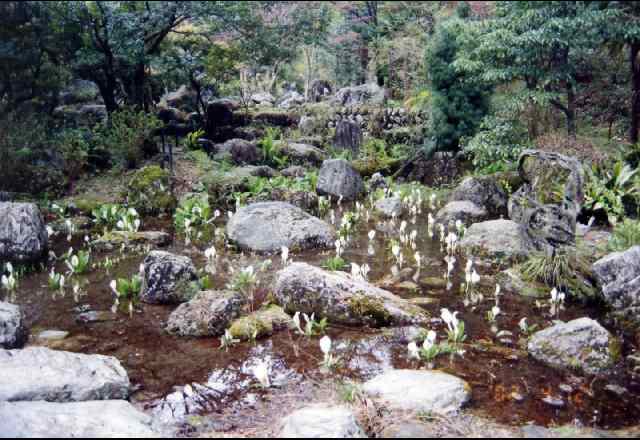 波瀬植物園