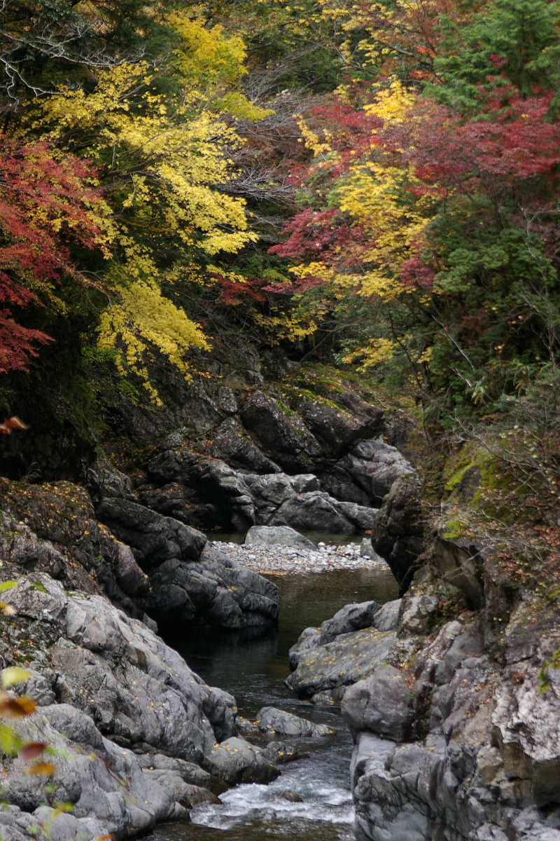 奈良･大塔町・舟の川の紅葉