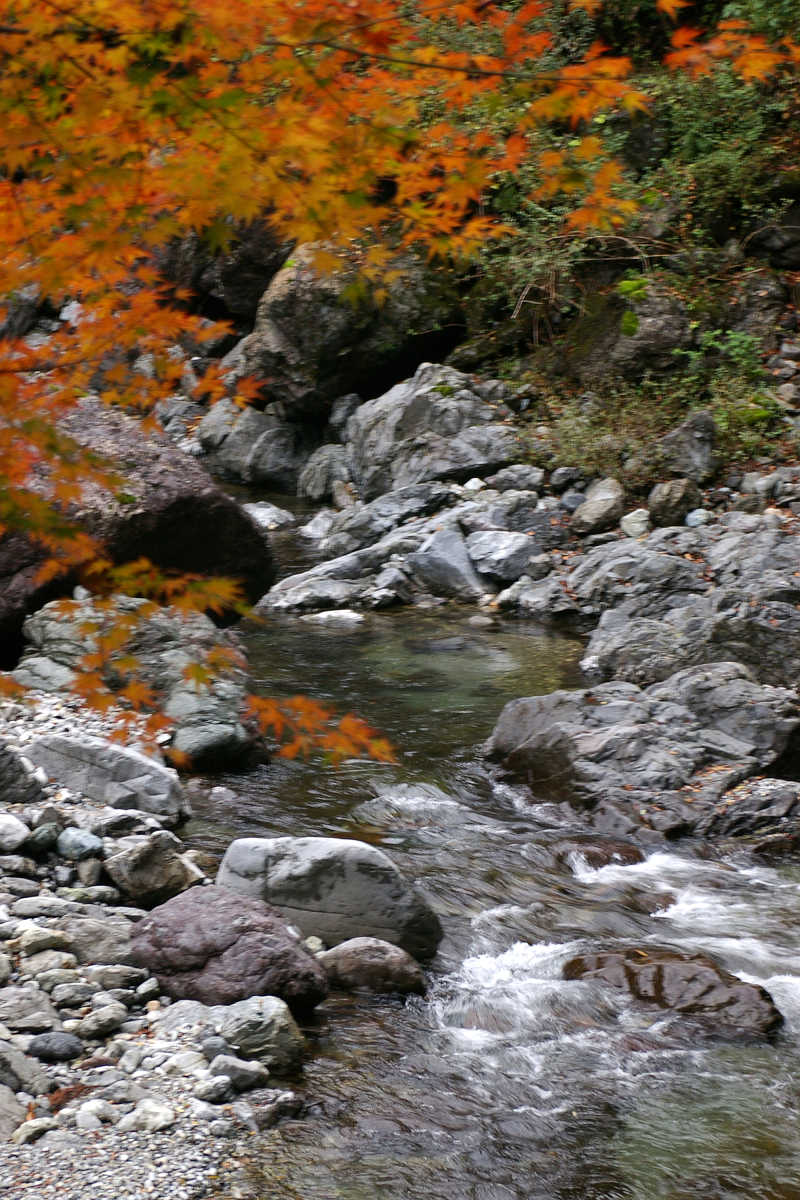 奈良･大塔町・舟の川の紅葉