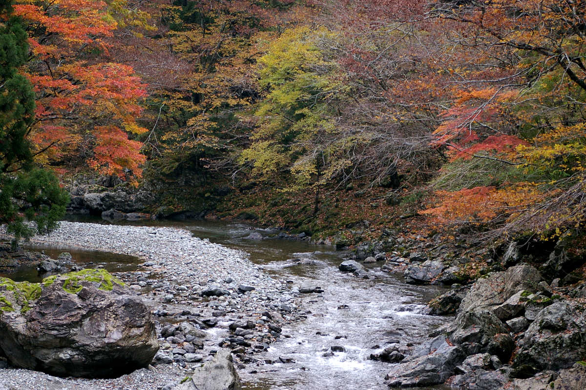 奈良･大塔町・舟の川の紅葉