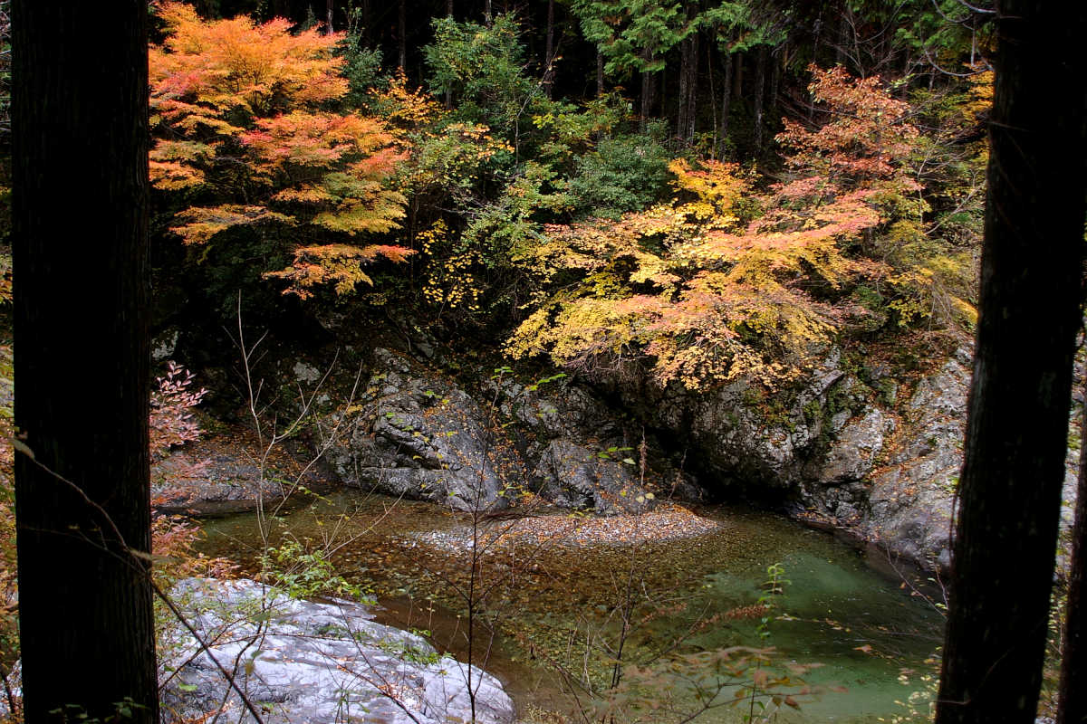 奈良･大塔町・舟の川の紅葉