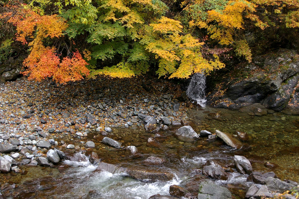 奈良･大塔町・舟の川の紅葉