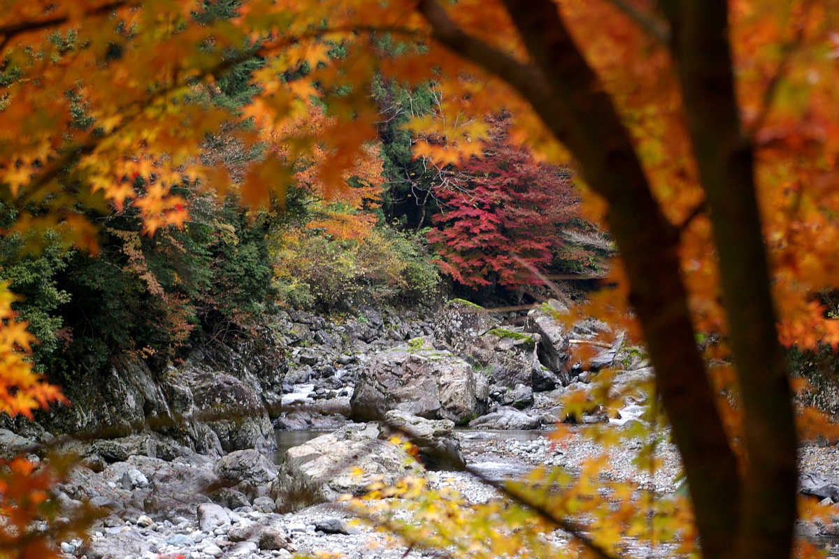 奈良･大塔町・舟の川の紅葉