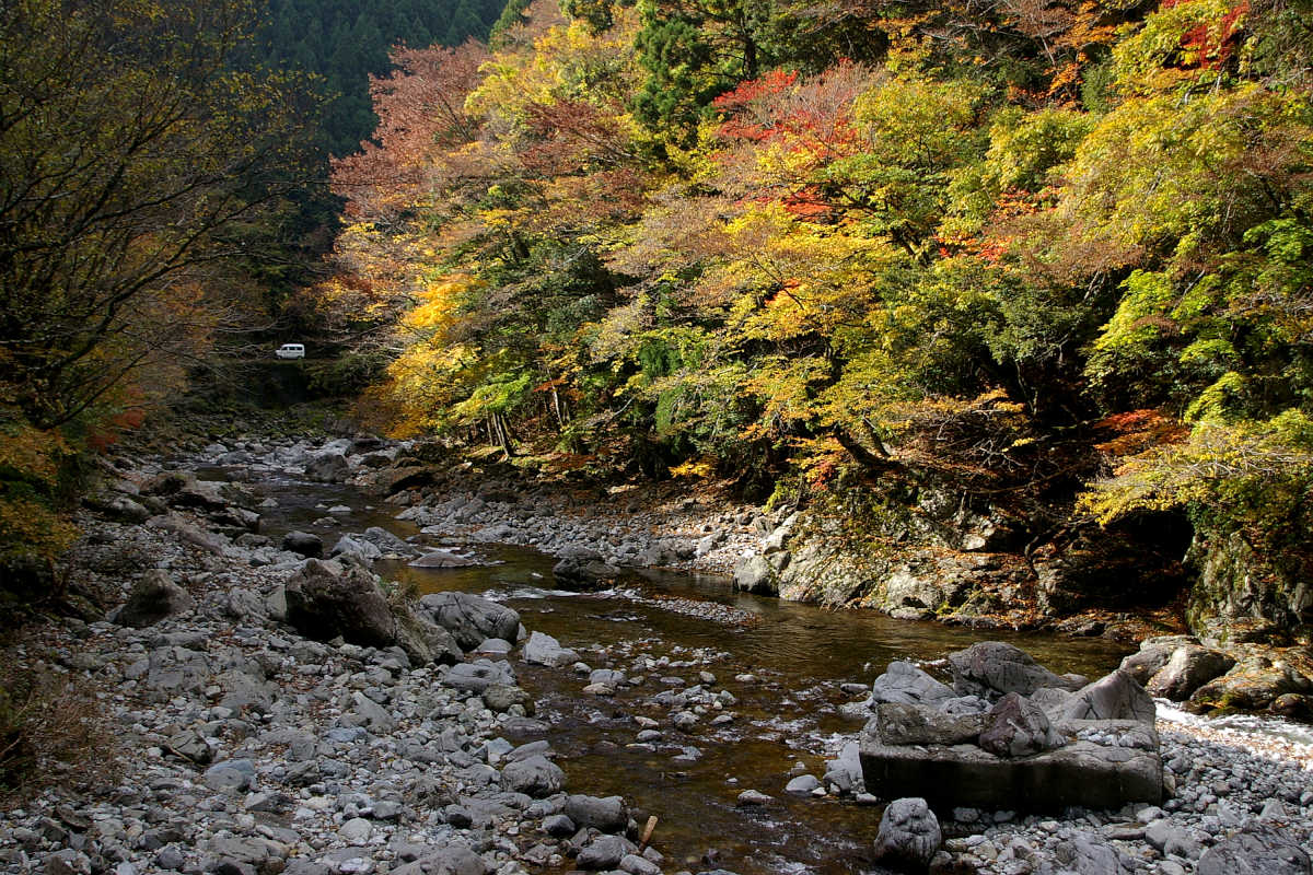 奈良･大塔町・舟の川の紅葉