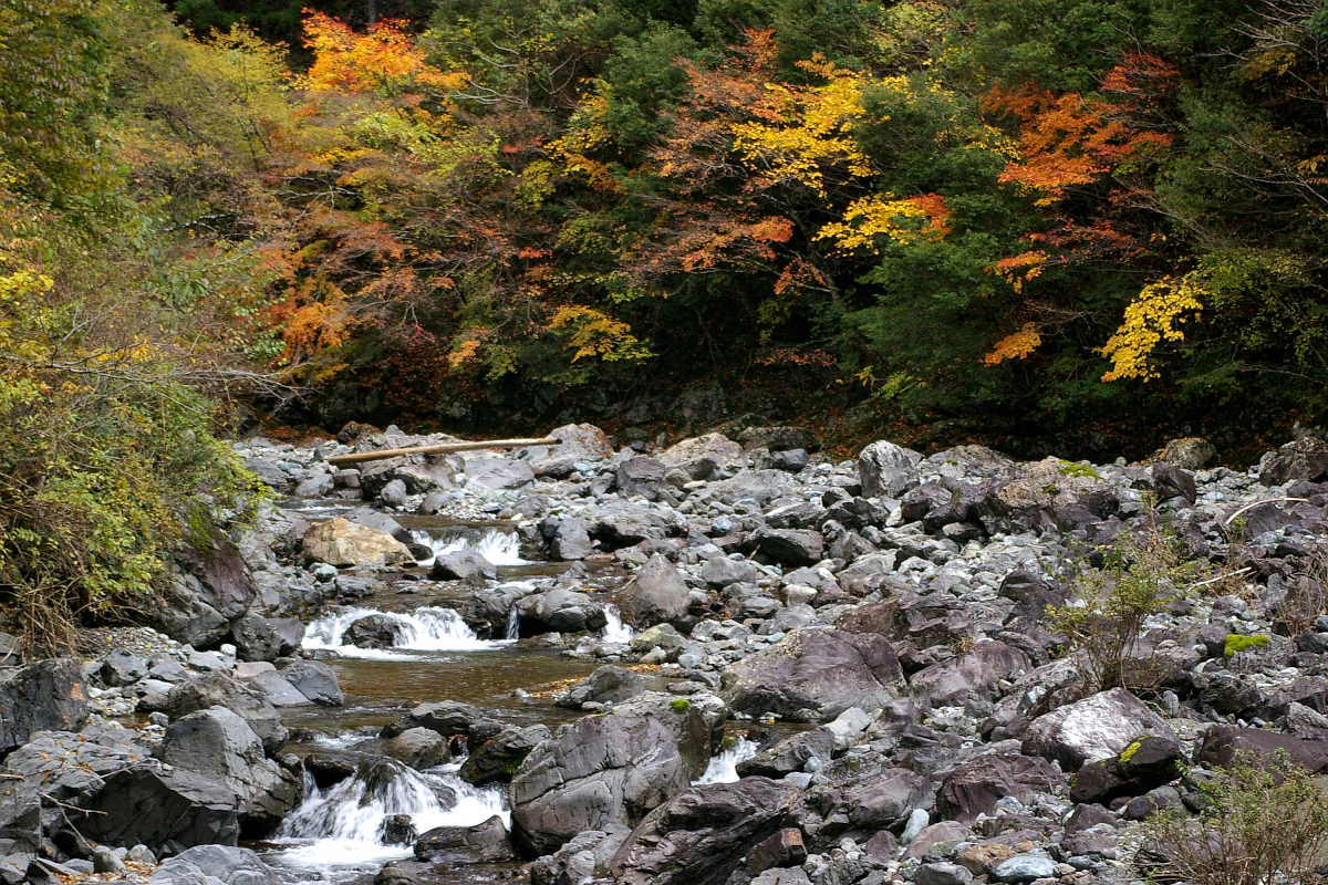 奈良･大塔町・舟の川の紅葉