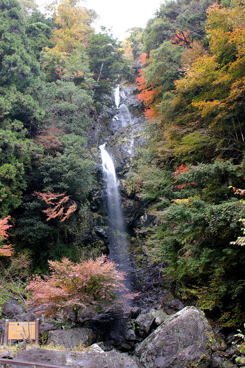 奈良･大塔町・舟の川の紅葉