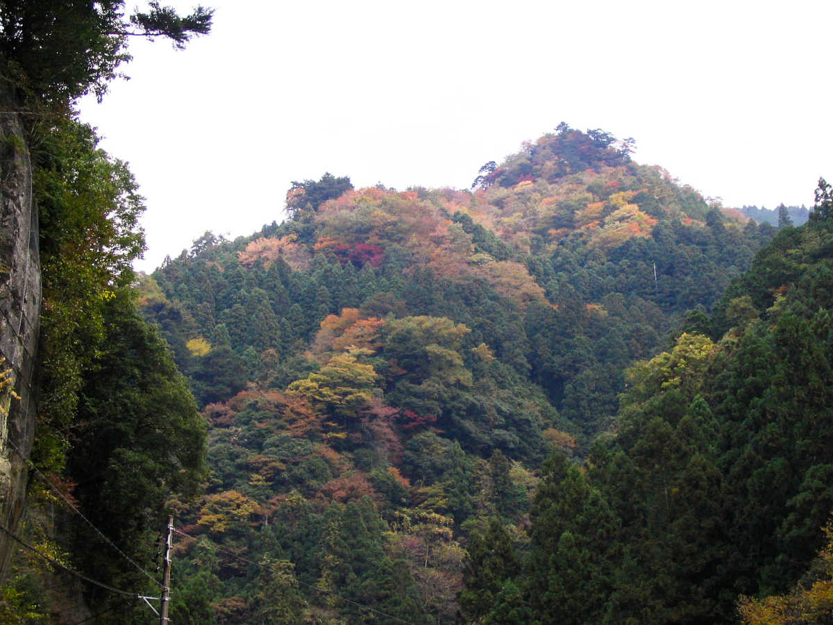 奈良・川上村・井光川の紅葉