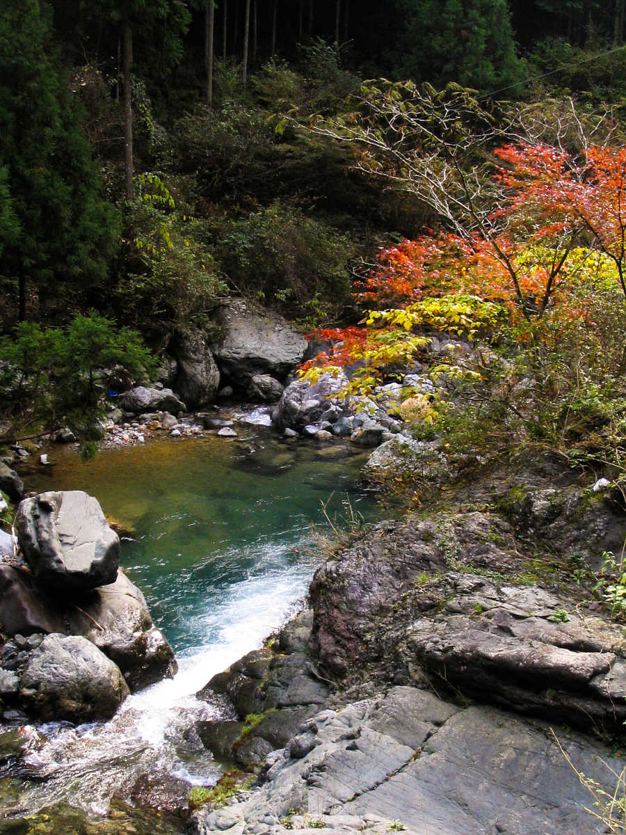 奈良・川上村・井光川の紅葉