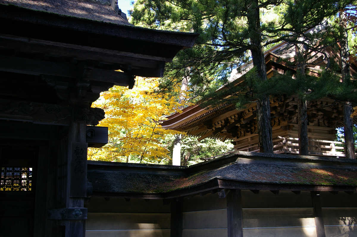 高野山の紅葉