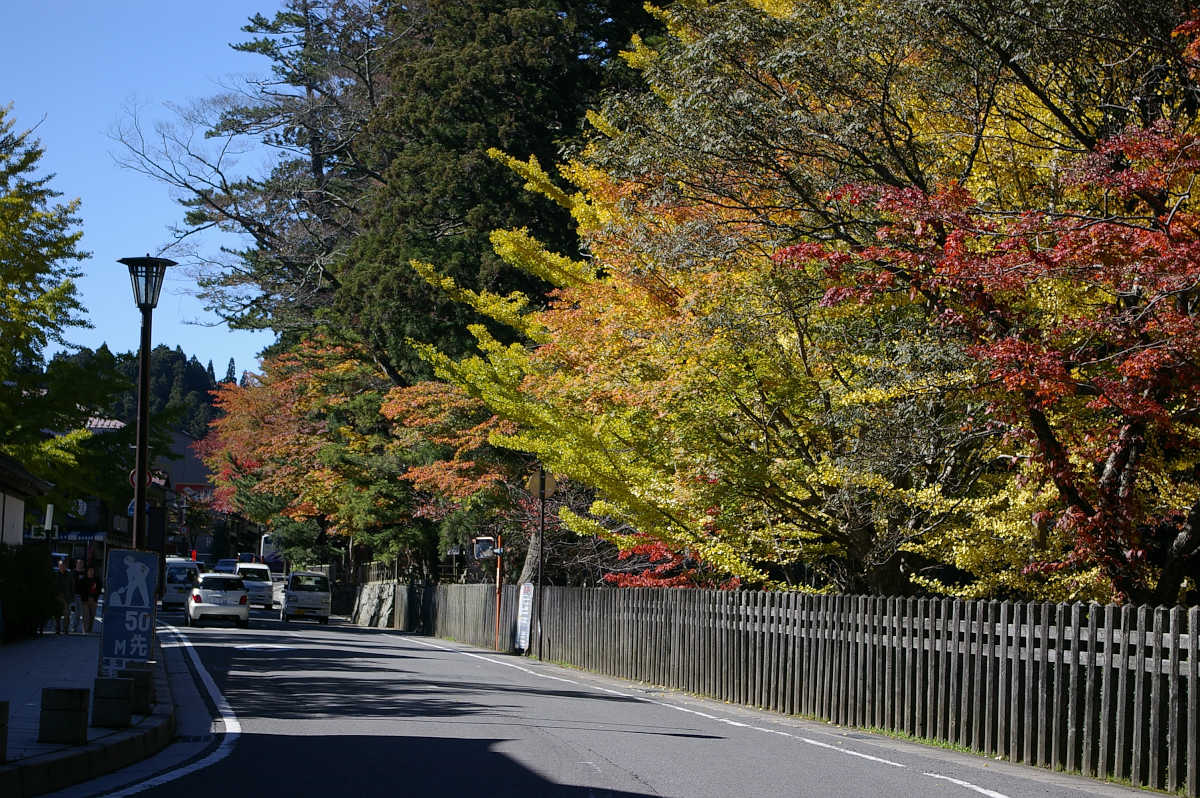 高野山の紅葉