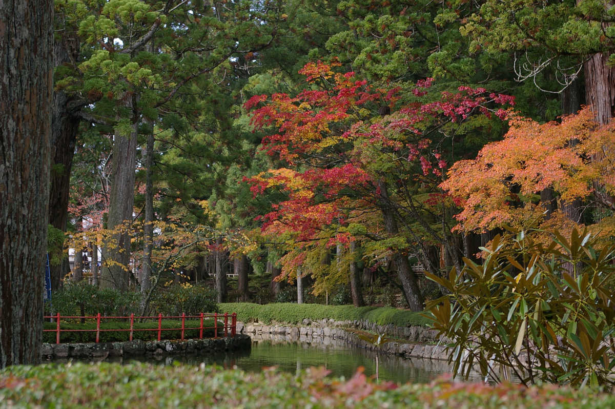 高野山の紅葉