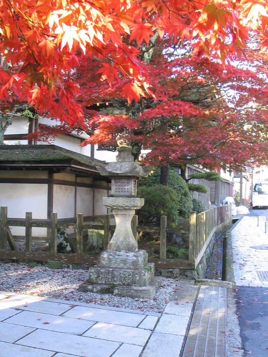 高野山の紅葉