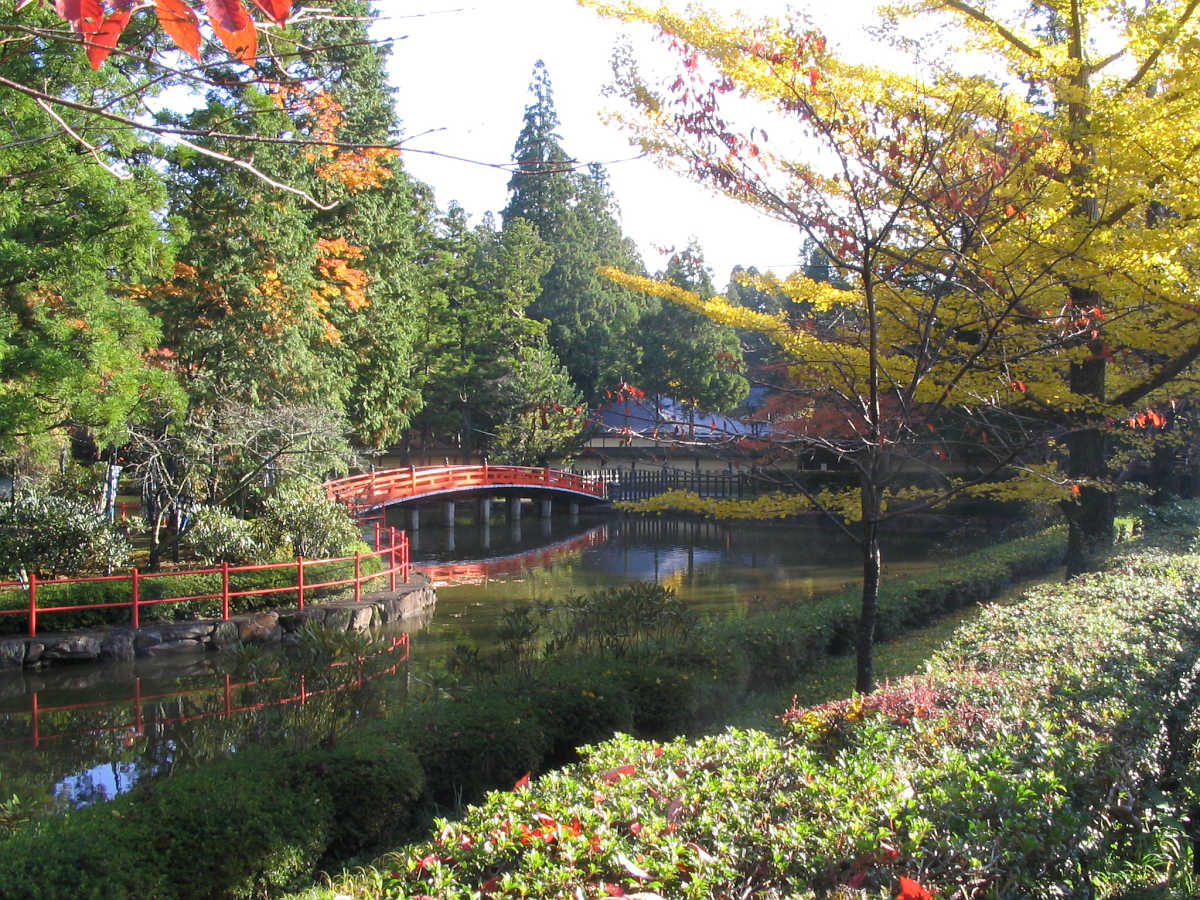 高野山の紅葉