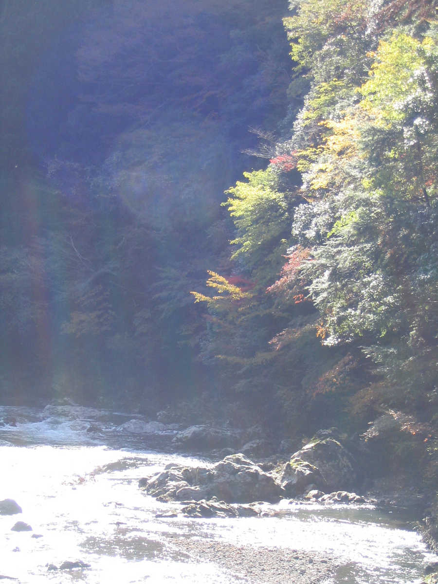 高野山の紅葉