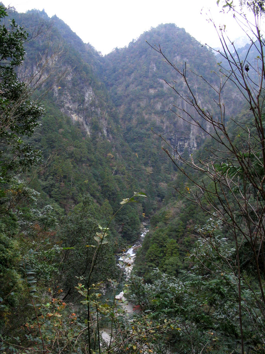 下北山村・前鬼川の紅葉