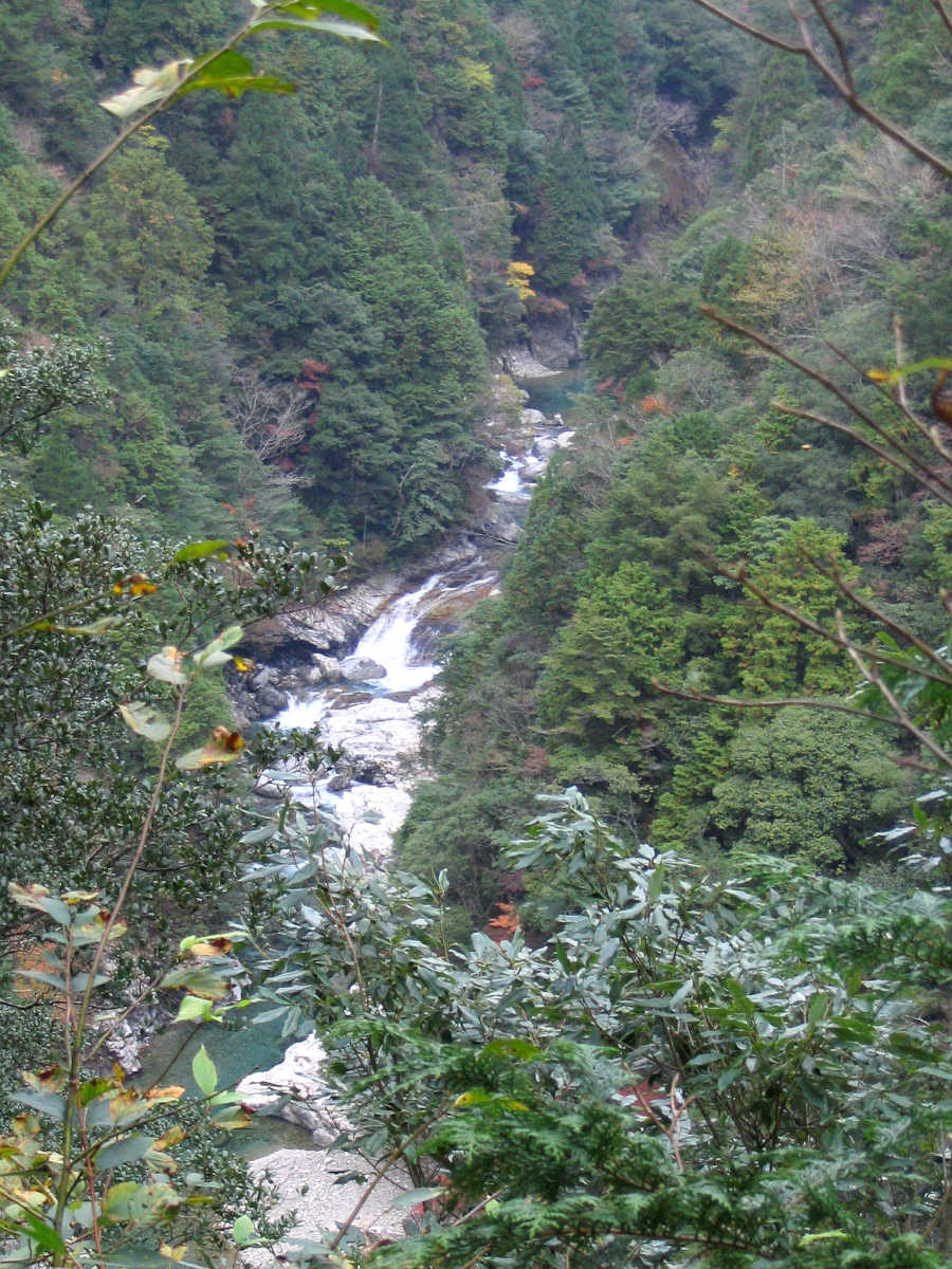 下北山村・前鬼川の紅葉