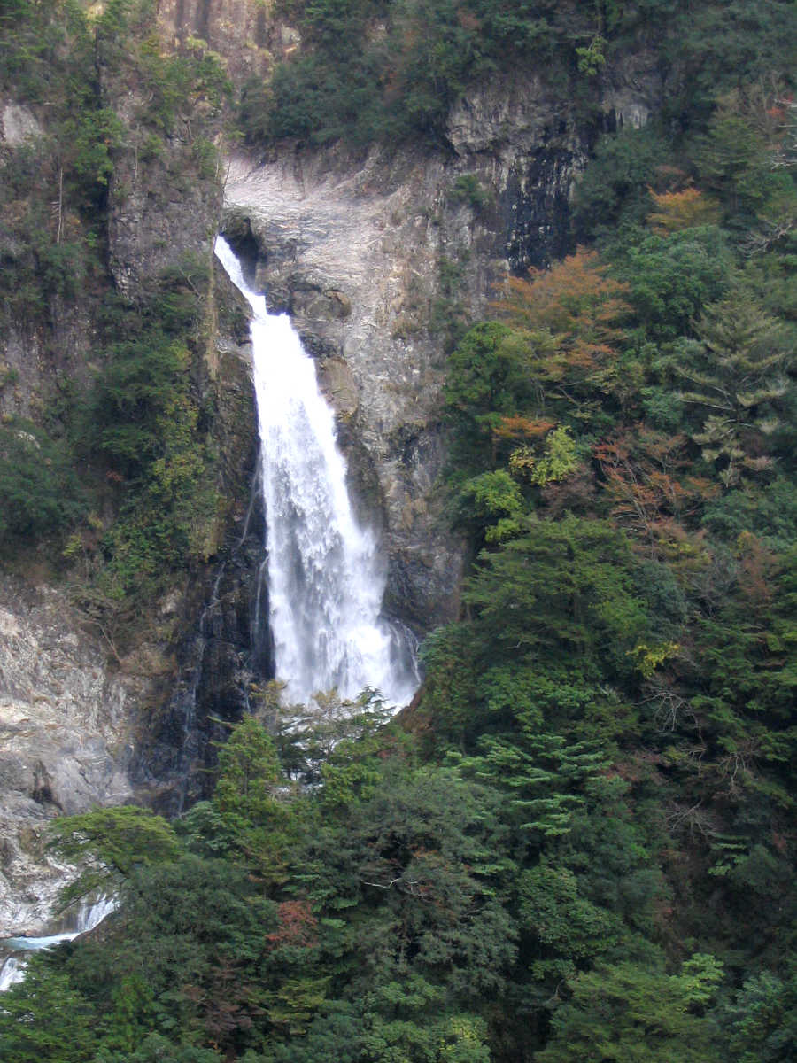 下北山村・前鬼川の紅葉