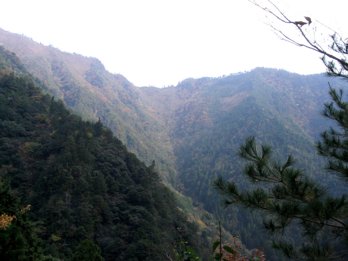 下北山村・前鬼川の紅葉