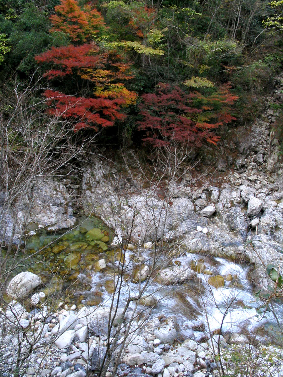 下北山村・前鬼川の紅葉