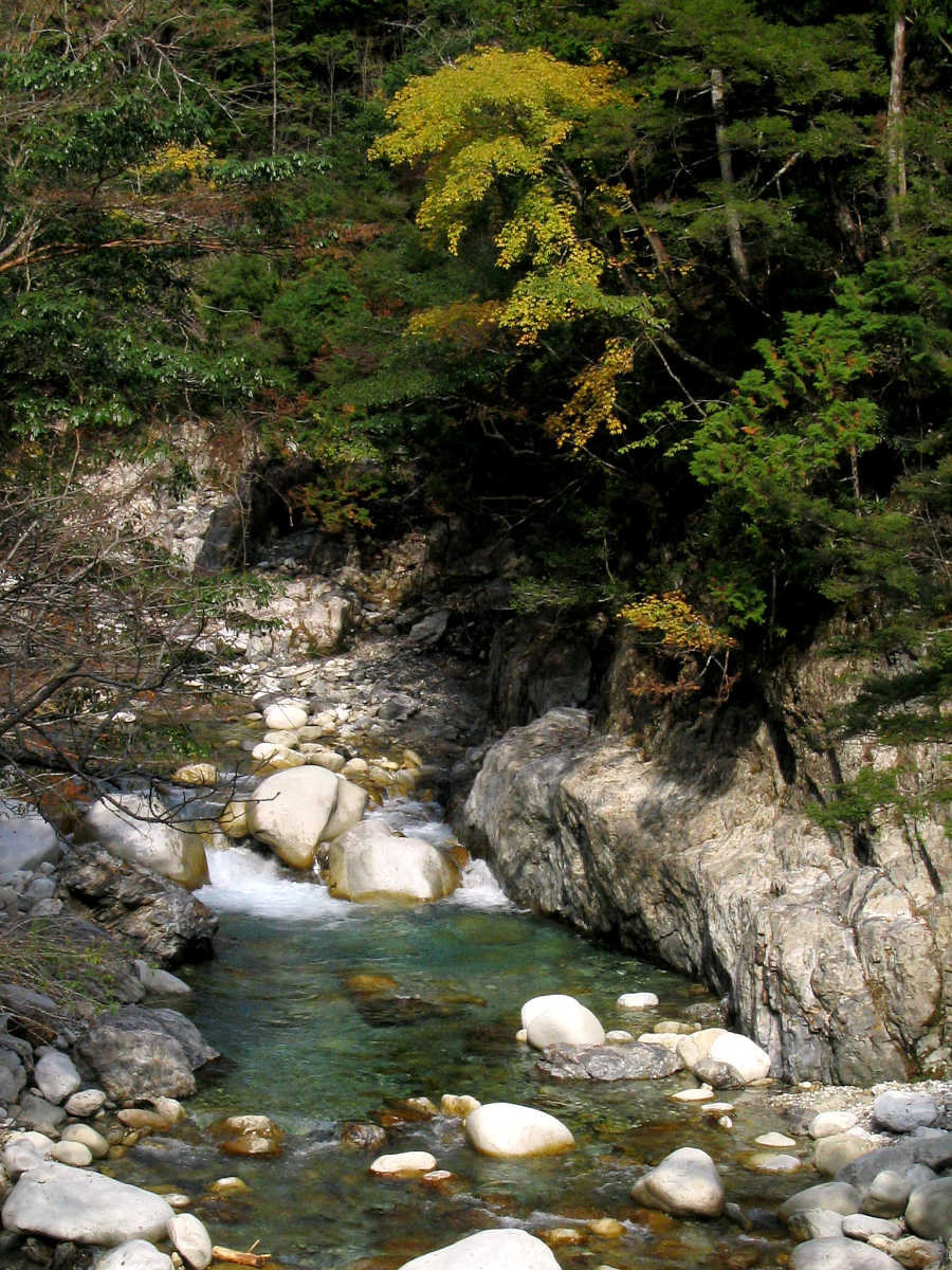 下北山村・前鬼川の紅葉