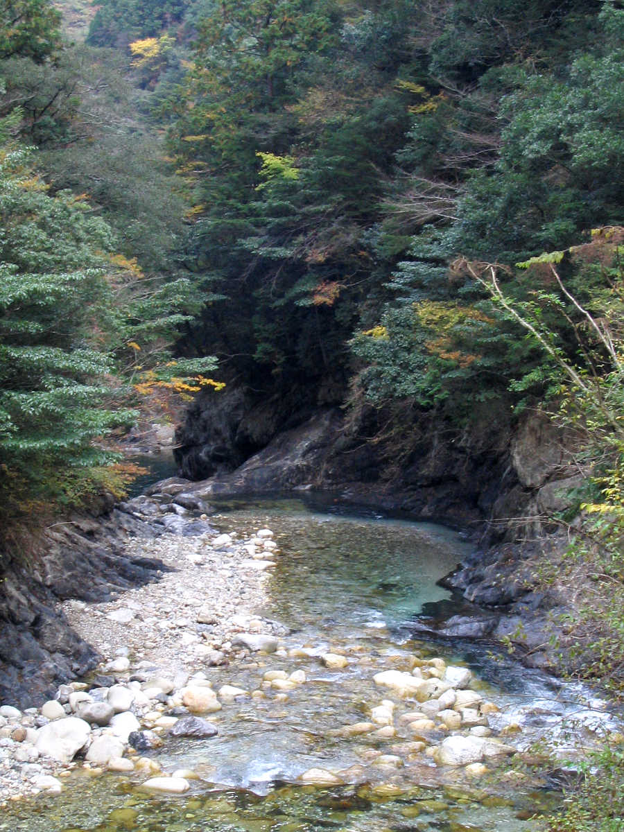 下北山村・前鬼川の紅葉