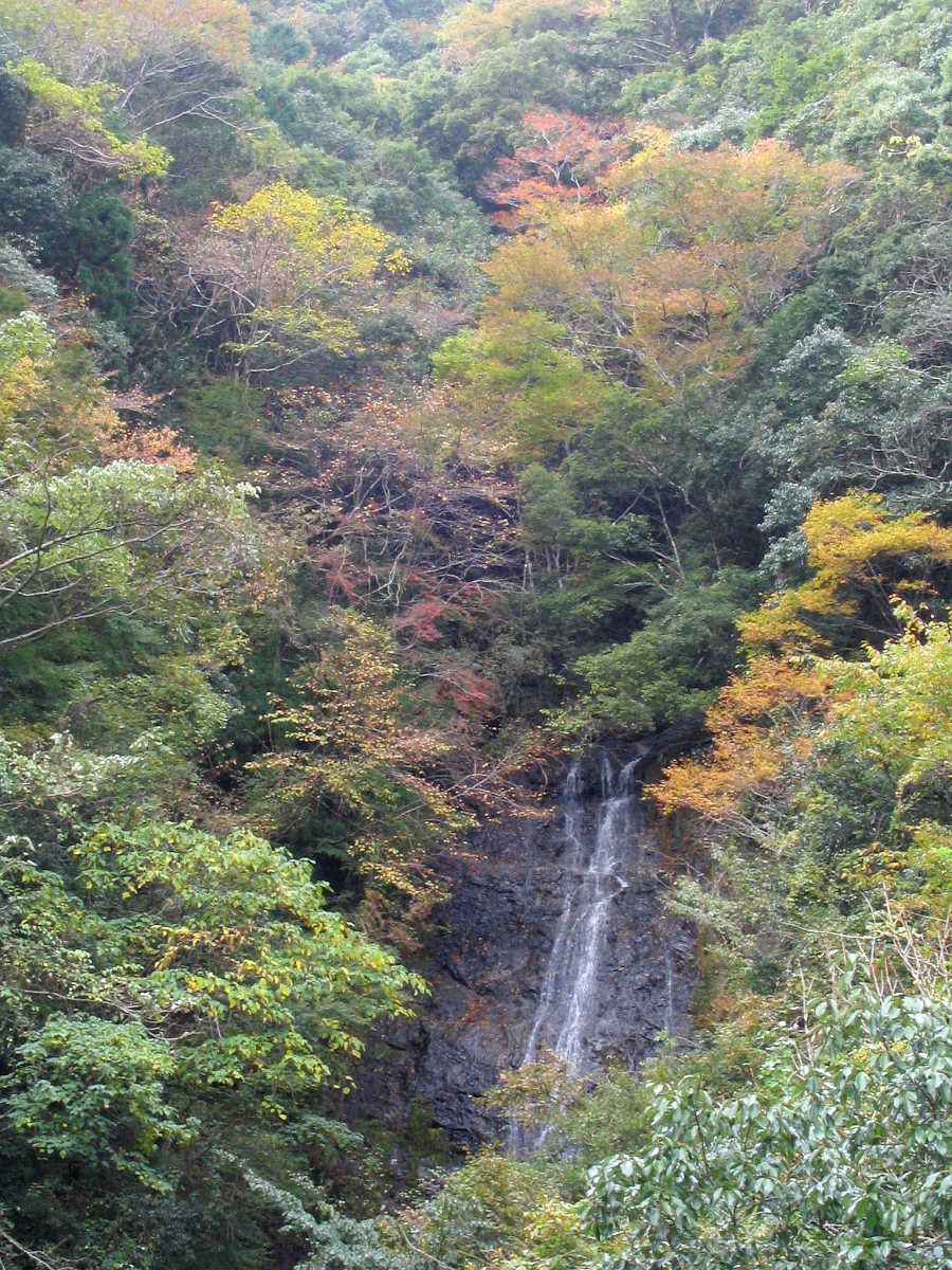 下北山村・前鬼川の紅葉