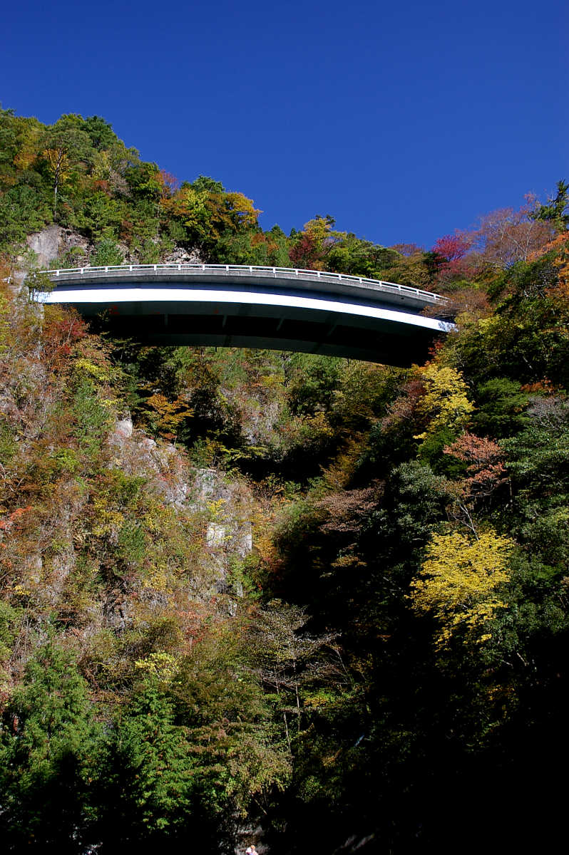 龍神スカイラインの紅葉