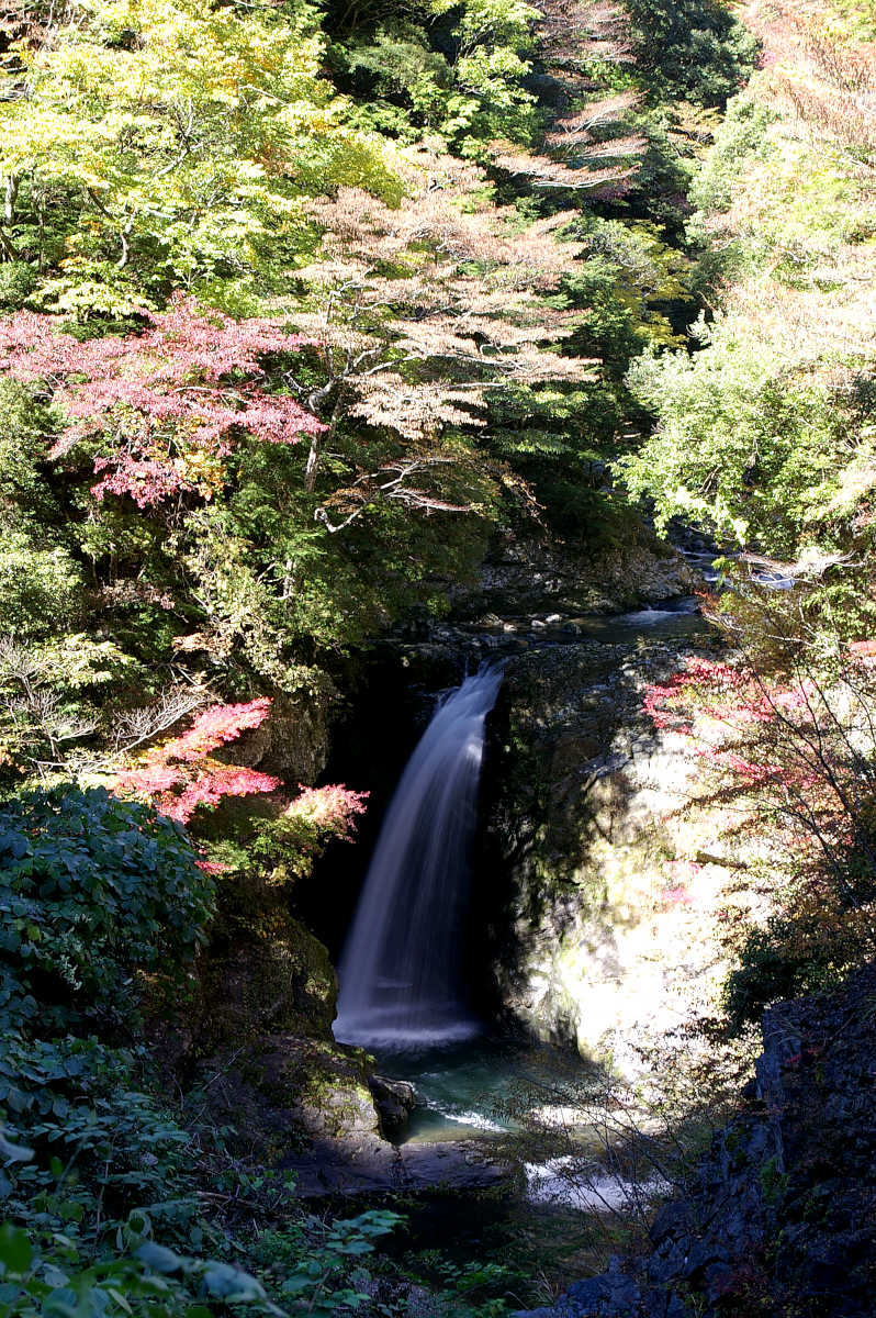 龍神スカイラインの紅葉