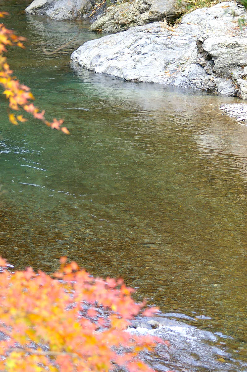 和歌山・橋本・玉川峡の紅葉