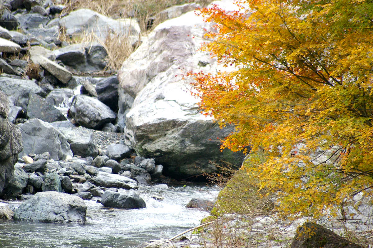 和歌山・橋本・玉川峡の紅葉