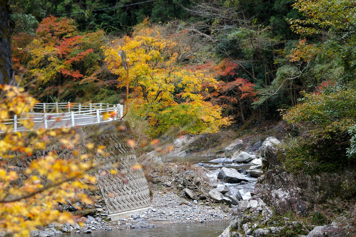 和歌山・橋本・玉川峡の紅葉