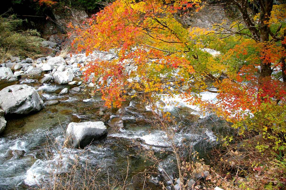 和歌山・橋本・玉川峡の紅葉