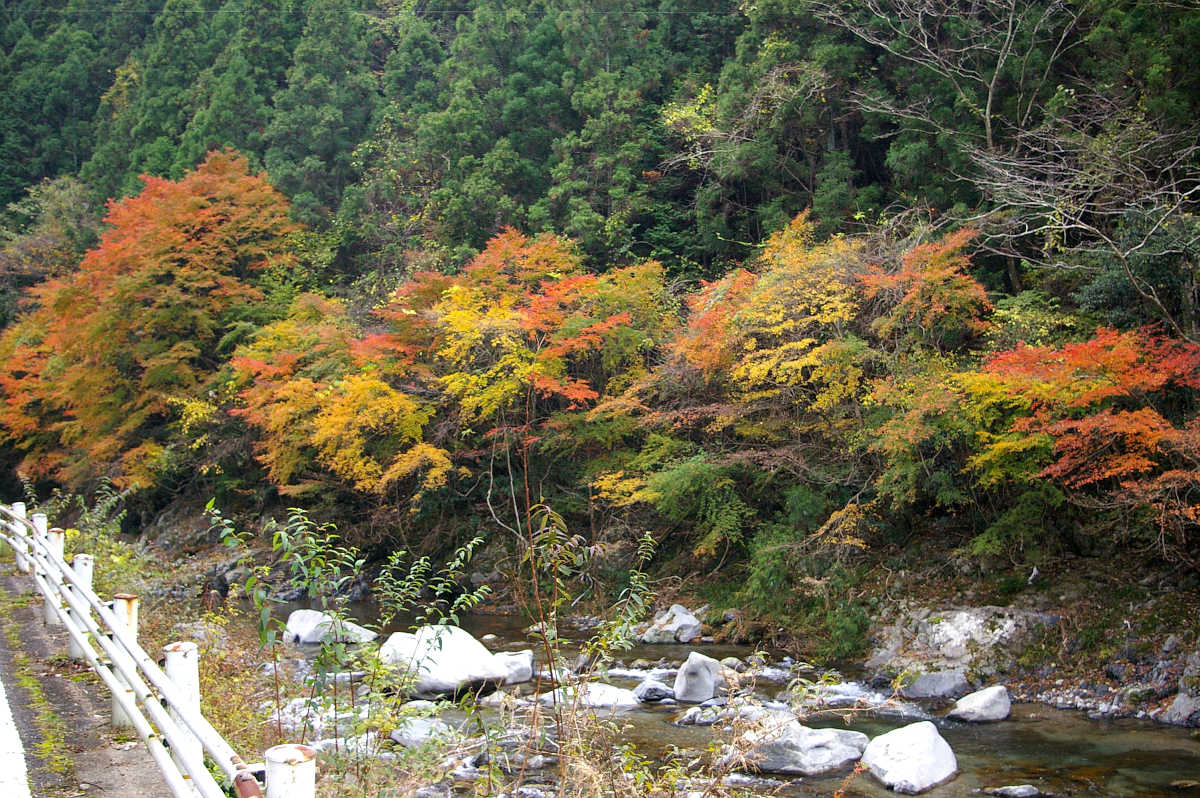 和歌山・橋本・玉川峡の紅葉