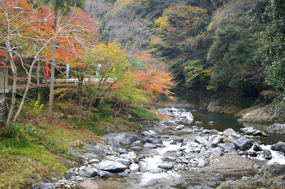 和歌山・橋本・玉川峡の紅葉