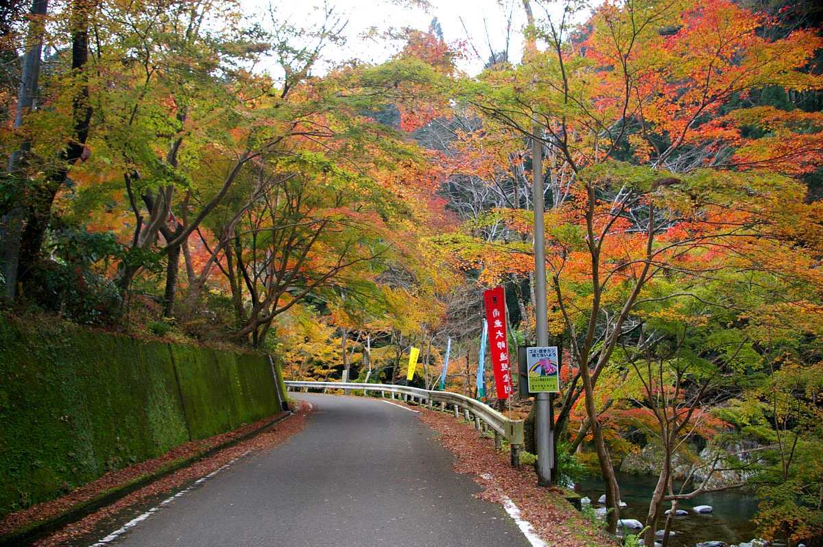 和歌山・橋本・玉川峡の紅葉