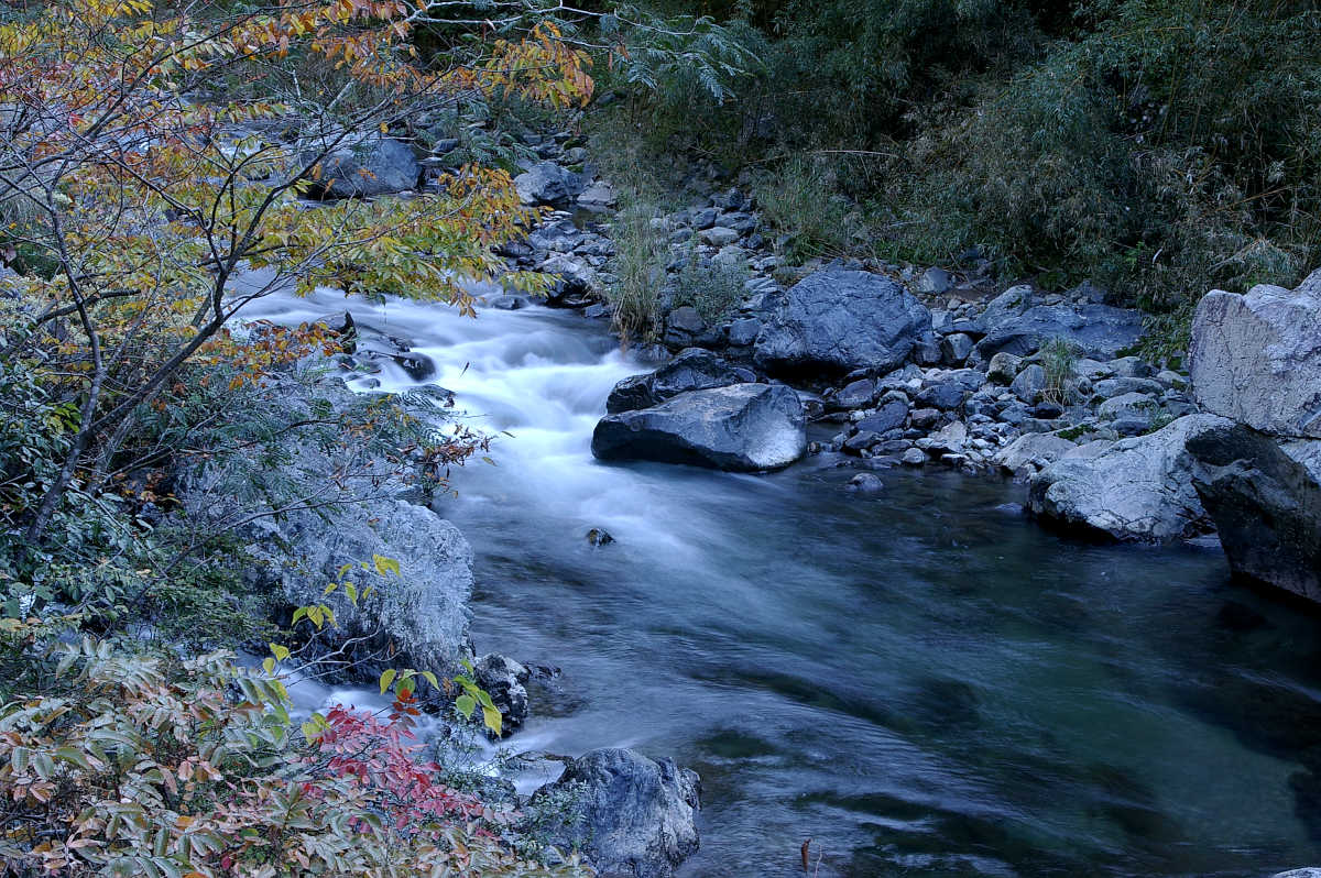 和歌山・橋本・玉川峡の紅葉