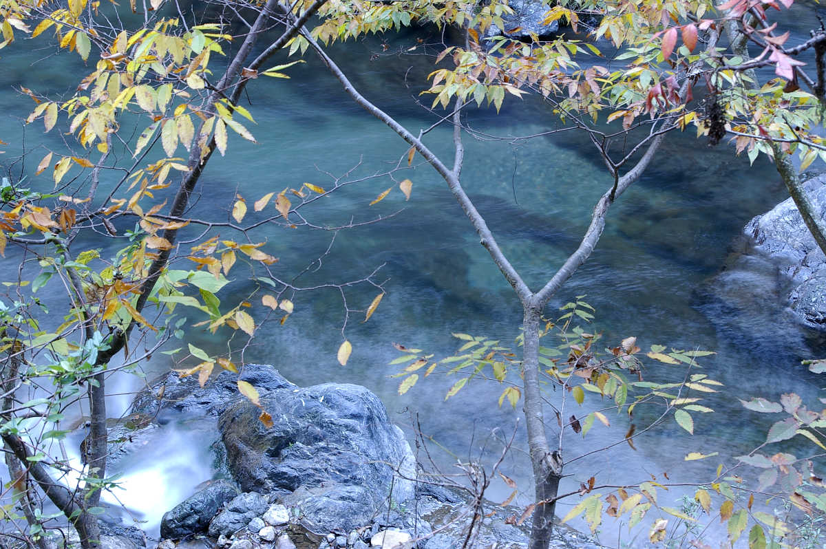 和歌山・橋本・玉川峡の紅葉