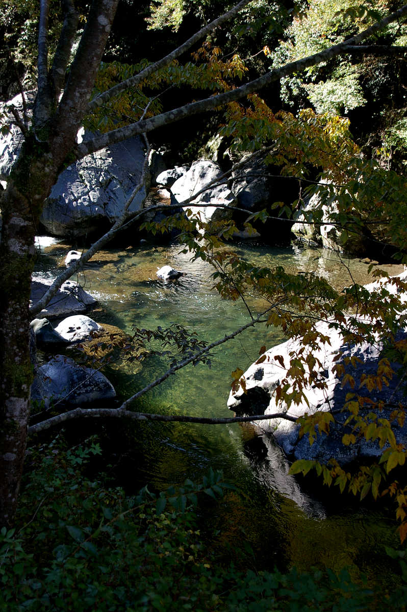 和歌山・橋本・玉川峡の紅葉