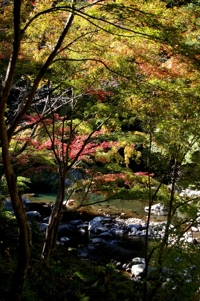 和歌山・橋本・玉川峡の紅葉