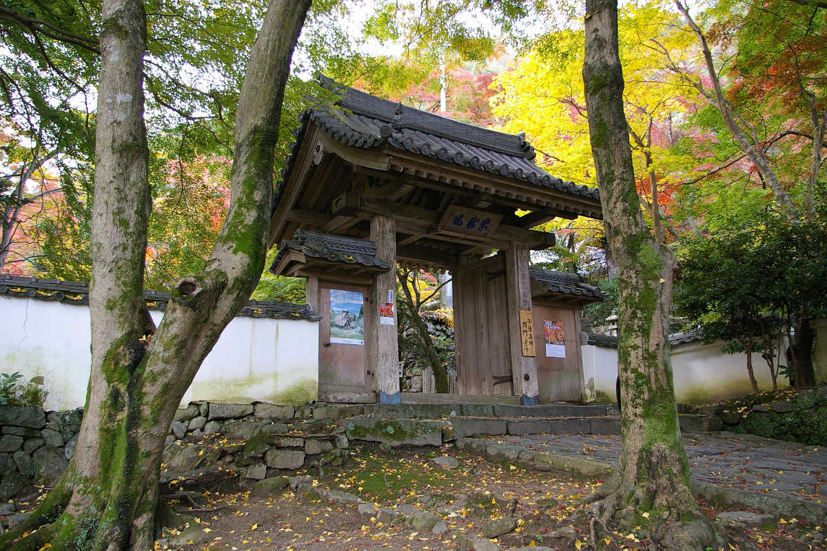 岸和田・牛滝山大威徳寺の紅葉