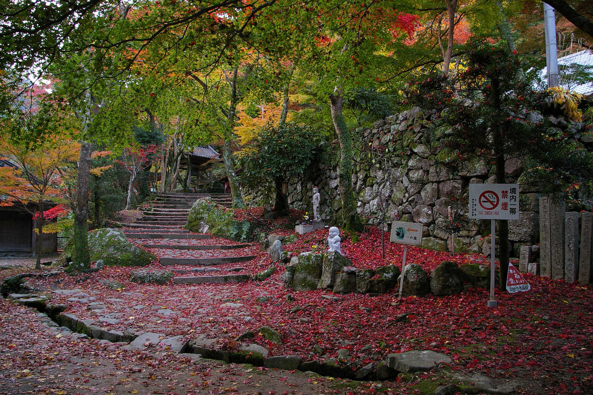 岸和田・牛滝山大威徳寺の紅葉