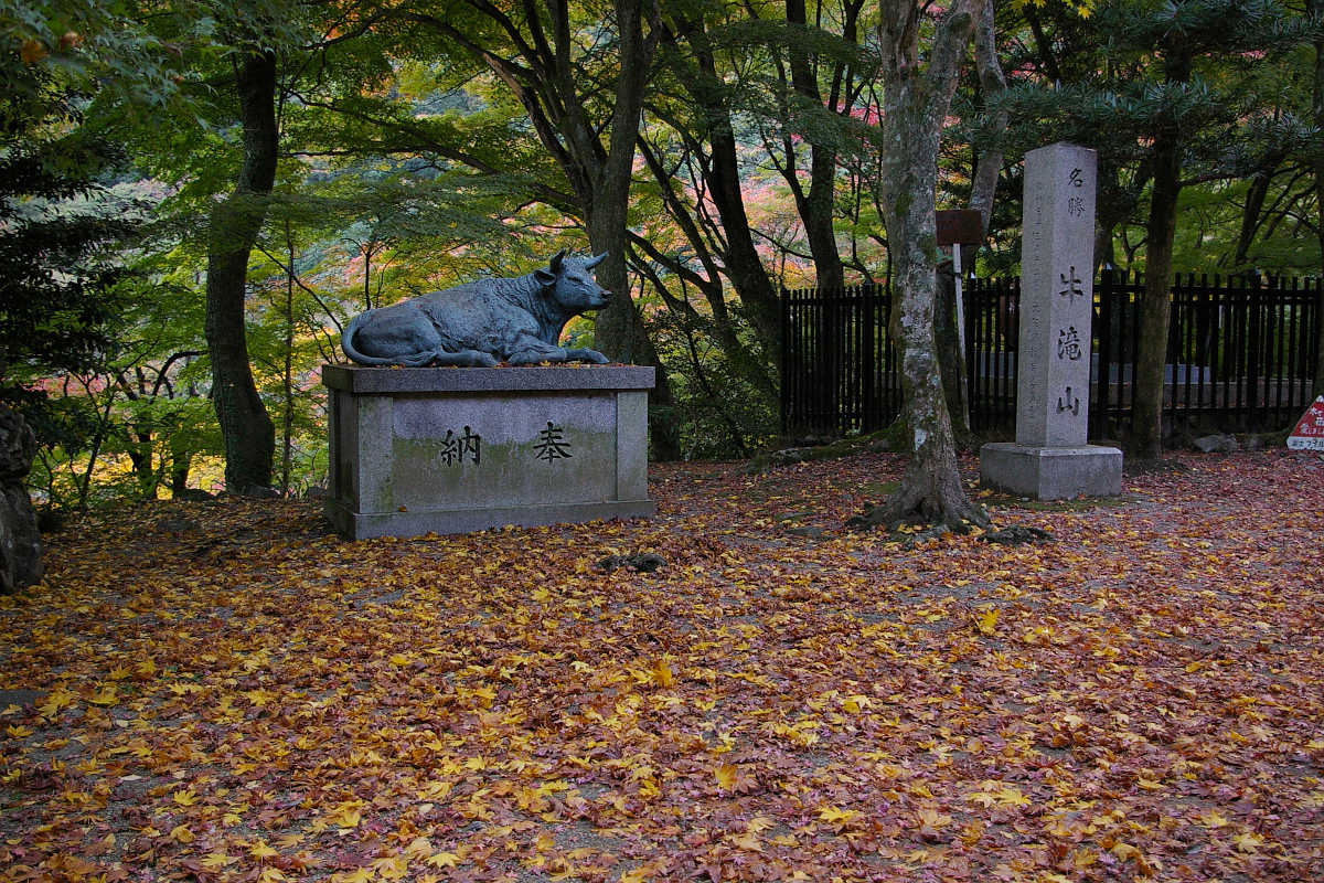 岸和田・牛滝山大威徳寺の紅葉