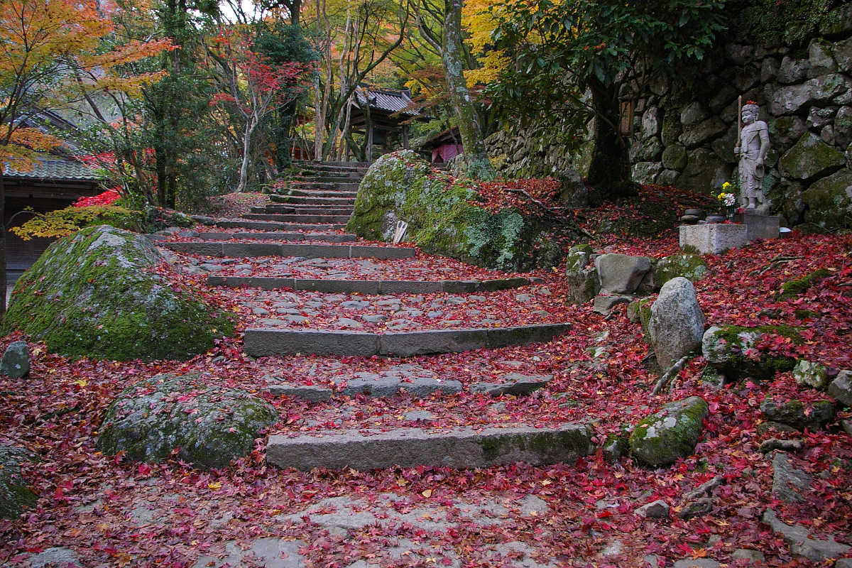 岸和田・牛滝山大威徳寺の紅葉