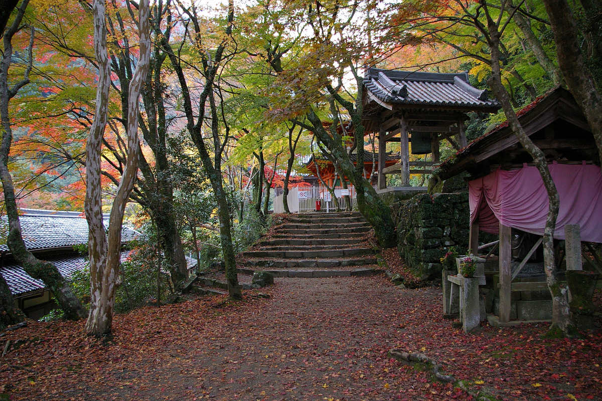 岸和田・牛滝山大威徳寺の紅葉