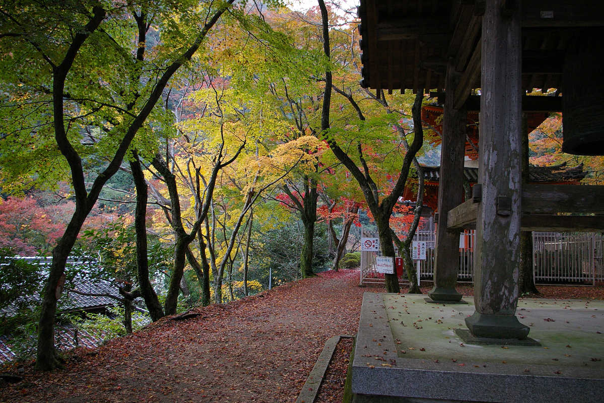 岸和田・牛滝山大威徳寺の紅葉