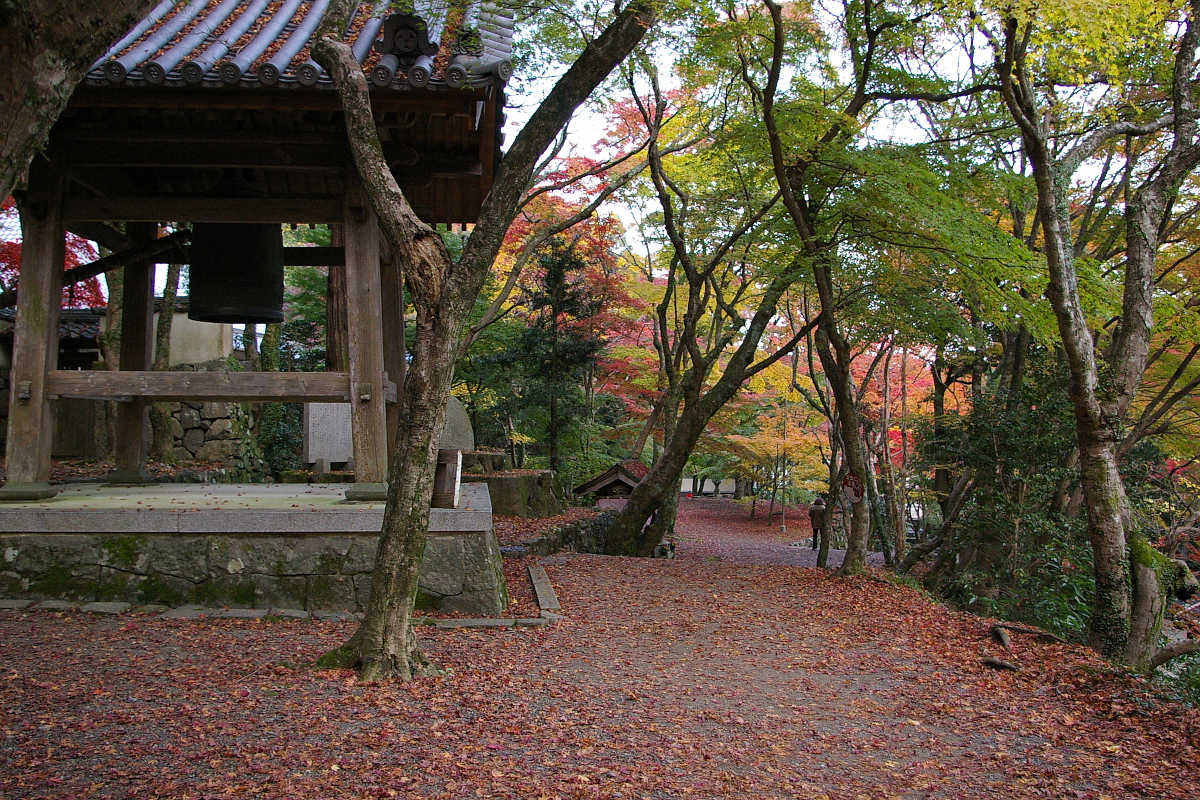 岸和田・牛滝山大威徳寺の紅葉