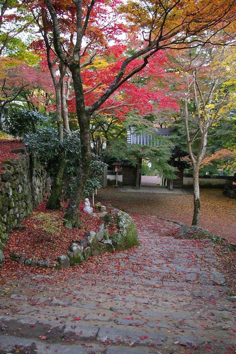 岸和田・牛滝山大威徳寺の紅葉