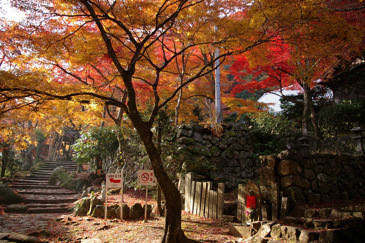 岸和田・牛滝山大威徳寺の紅葉